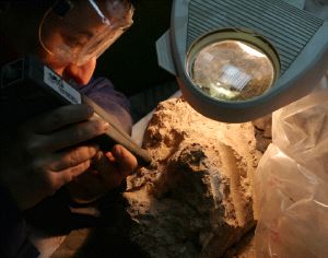 Expertos gaditanos hallan en una cueva ceutí restos anteriores al neolítico